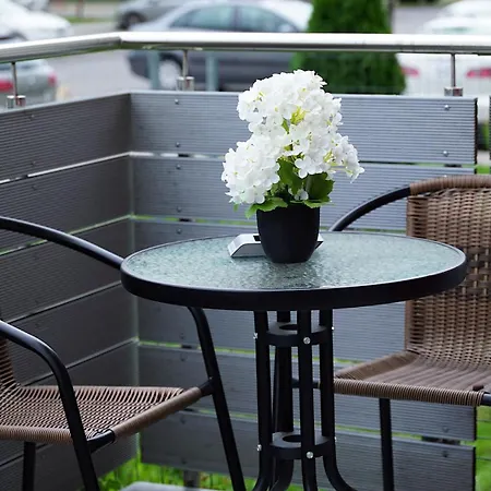 Artclass Avangarden * ブラショフ