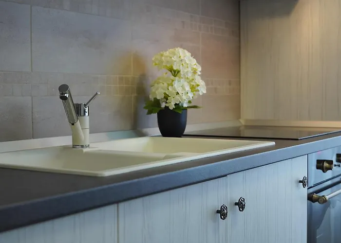 アパート Artclass Avangarden ブラショフ