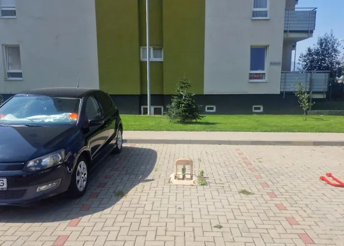 Artclass Avangarden *